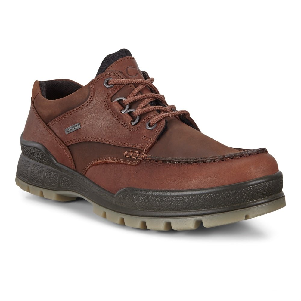 Produktbild 3 - ECCO Track 25 Herr Gore-Tex BisonBison Oil Nubuck