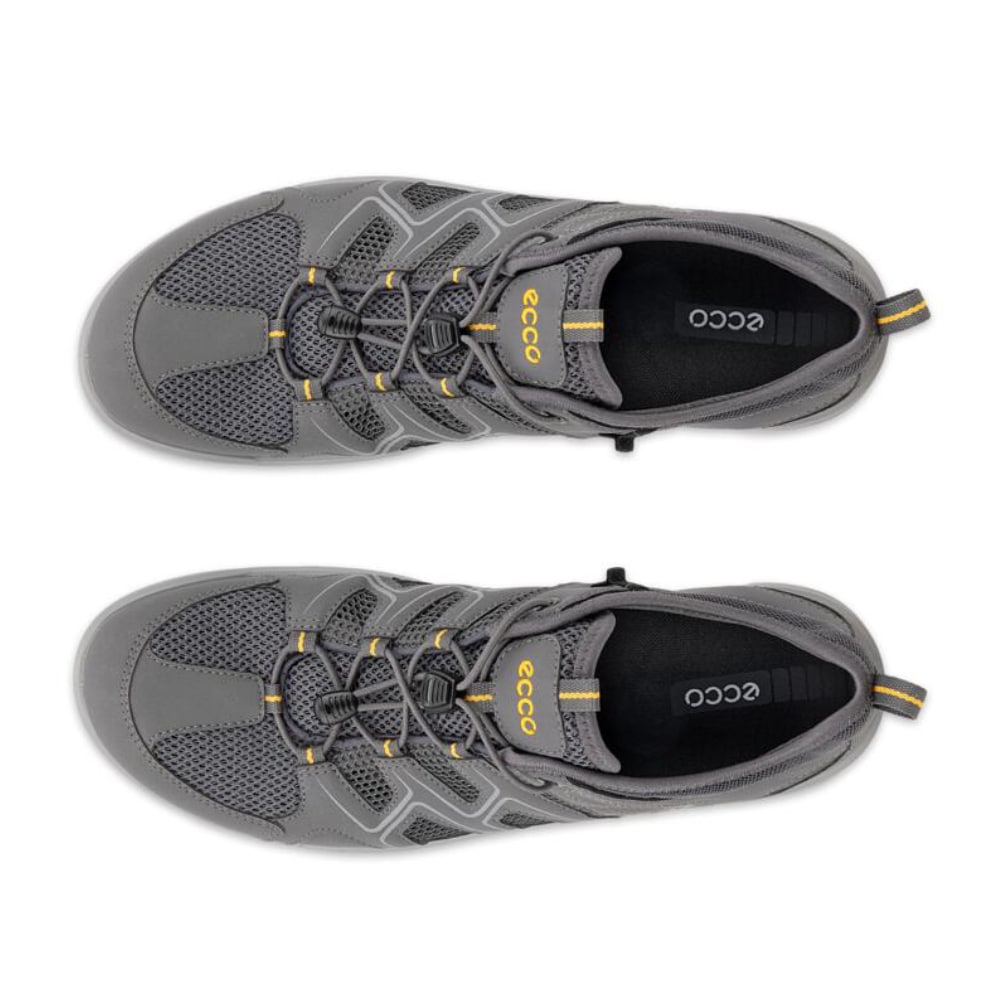 ECCO Terracruise LT Herr Magnet