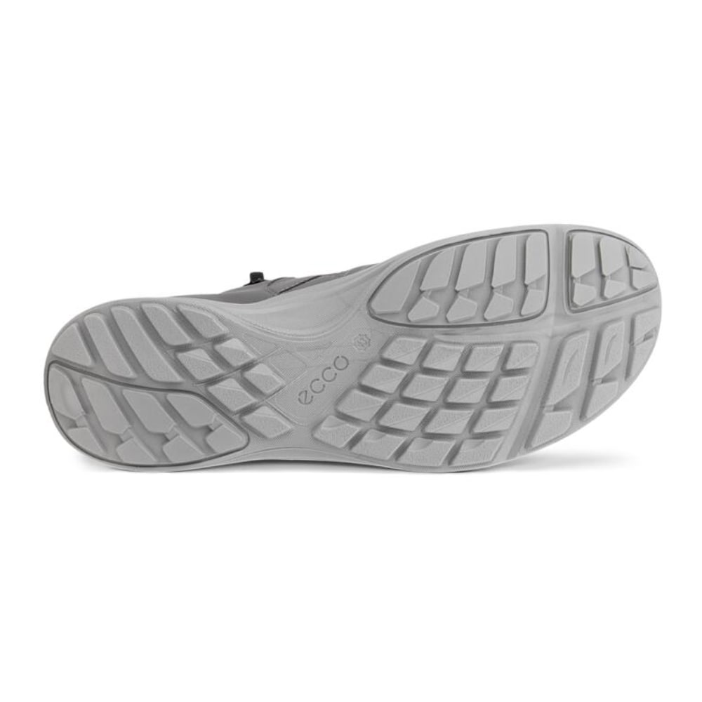 ECCO Terracruise LT Herr Magnet